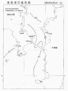 東京湾口海況図(2004/06/08)