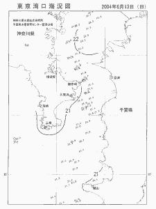 東京湾口海況図(2004/06/13)