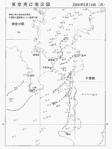 東京湾口海況図(2004/06/14)