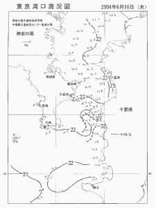 東京湾口海況図(2004/06/16)
