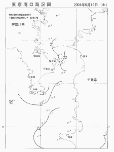 東京湾口海況図(2004/06/19)