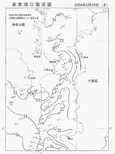 東京湾口海況図(2004/06/24)