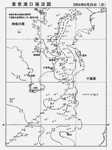 東京湾口海況図(2004/06/28)
