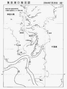 東京湾口海況図(2004/07/30)