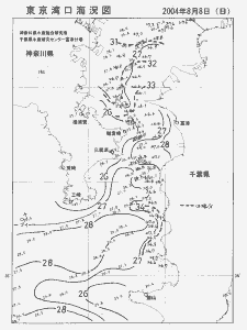 東京湾口海況図(2004/08/08)
