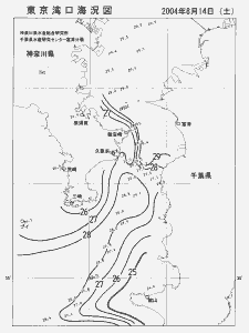 東京湾口海況図(2004/08/14)