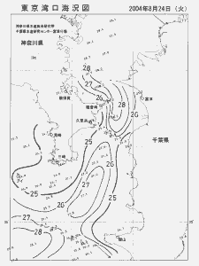 東京湾口海況図(2004/08/24)