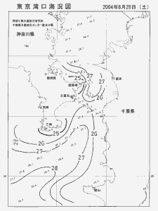 東京湾口海況図(2004/08/28)