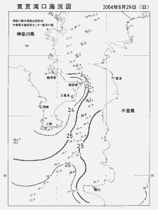 東京湾口海況図(2004/08/29)