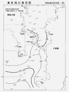 東京湾口海況図(2004/08/30)