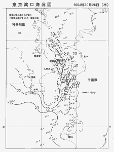 東京湾口海況図(2004/10/28)