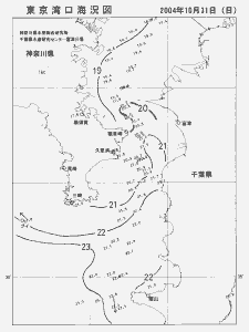 東京湾口海況図(2004/10/31)