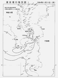 東京湾口海況図(2004/11/11)