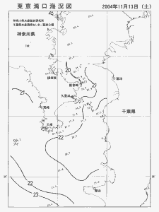 東京湾口海況図(2004/11/13)