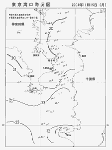 東京湾口海況図(2004/11/15)