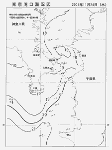 東京湾口海況図(2004/11/24)