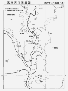 東京湾口海況図(2004/12/23)