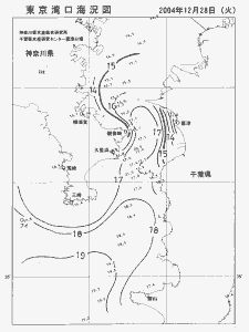 東京湾口海況図(2004/12/28)