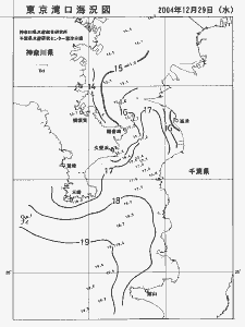 東京湾口海況図(2004/12/29)