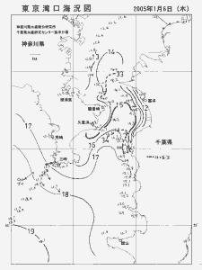 東京湾口海況図(2005/01/06)