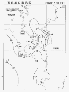 東京湾口海況図(2005/01/07)