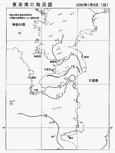 東京湾口海況図(2005/01/09)