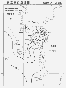 東京湾口海況図(2005/01/11)