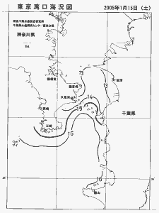 東京湾口海況図(2005/01/15)