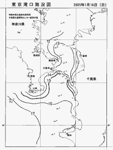 東京湾口海況図(2005/01/16)