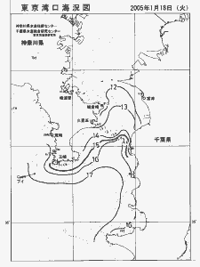 東京湾口海況図(2005/01/18)