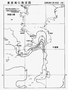 東京湾口海況図(2005/01/19)
