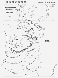 東京湾口海況図(2005/01/26)