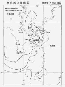 東京湾口海況図(2005/01/30)