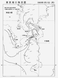東京湾口海況図(2005/01/31)