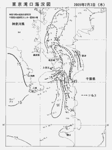 東京湾口海況図(2005/02/03)
