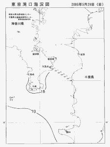 東京湾口海況図(2005/05/29)