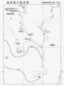 東京湾口海況図(2005/05/31)
