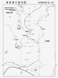 東京湾口海況図(2005/06/01)