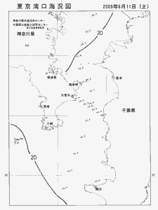 東京湾口海況図(2005/06/11)