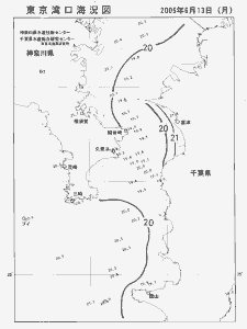 東京湾口海況図(2005/06/13)