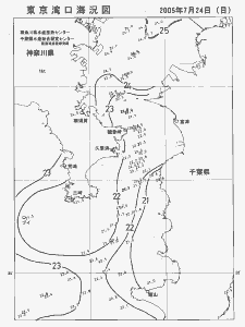 東京湾口海況図(2005/07/24)