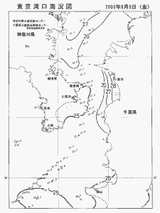 東京湾口海況図(2005/08/05)