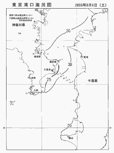 東京湾口海況図(2005/08/06)