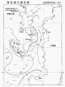 東京湾口海況図(2005/08/09)