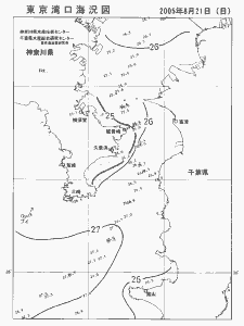 東京湾口海況図(2005/08/21)