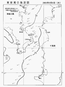 東京湾口海況図(2005/09/08)