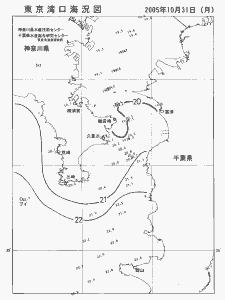 東京湾口海況図(2005/10/31)