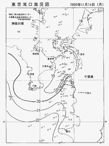 東京湾口海況図(2005/11/14)