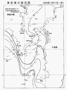 東京湾口海況図(2005/11/17)