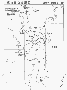 東京湾口海況図(2005/11/19)